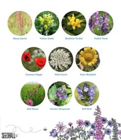 Wildlife Mix Seed Bag - 100 Balls -Garden Central Sales Store Wildlife20flower20inclusion