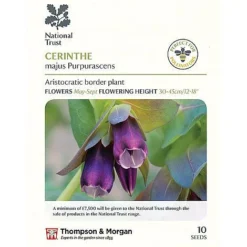 Seed Collection Tin + 10 Packets Of National Trust Seeds -Garden Central Sales Store cerinthe majus P2