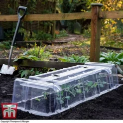 Mini Greenhouse Cloche -Garden Central Sales Store cloche32