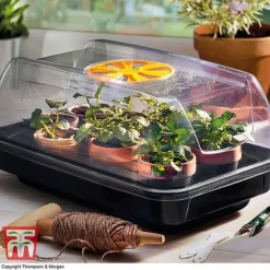 Garden Gear Heated Propagator