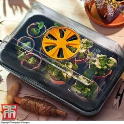 Garden Gear Heated Propagator -Garden Central Sales Store heat prop3