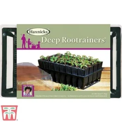 Deep Root Trainers -Garden Central Sales Store root3