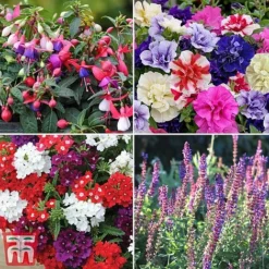 Nurseryman's Choice Container Mix -Garden Central Sales Store sumbed2