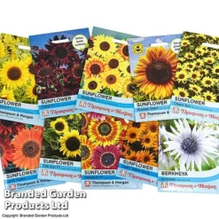 Summer Collection - Bulbs, Seeds & Compost -Garden Central Sales Store suumer coll seed1