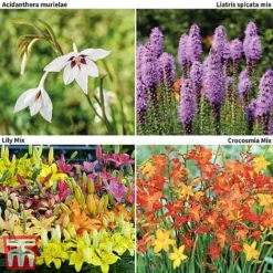 85 Wildlife Friendly Bulb Collection