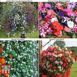 Bumper Garden Collection -Garden Central Sales Store z BUMP KB3121 B