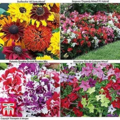 Bumper Garden Collection -Garden Central Sales Store z BUMP KB3121 O1