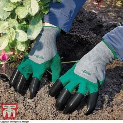 Mini Greenhouse Cloche -Garden Central Sales Store z GARD KA8679 A1