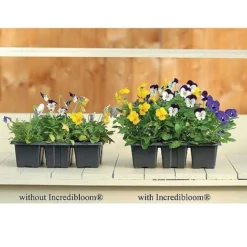 Incredibloom&reg; And Incredicrop&reg; Duo -Garden Central Sales Store z INCR T47963 C h