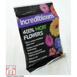 Clematis 'New Love' -Garden Central Sales Store z INCR T47963 E h3