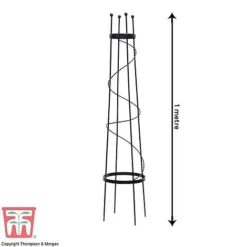 Clematis Duo Collection -Garden Central Sales Store z OBEL KB0599 A201